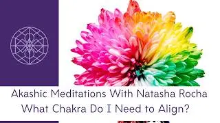 Akashic Meditations with Natasha Mott: What Chakra Do I Need to Work on Right Now?