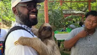 Carnival Mardi Gras: Where Can You Find  Sloths🦥, Monkeys 🐒 and Birds 🐦 in Roatan Honduras
