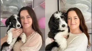What it's really like to adopt a rescue puppy from Romania | Dog adoption Q&A