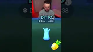 Станьте УДАЧЛИВЫМИ с Shiny Ditto!