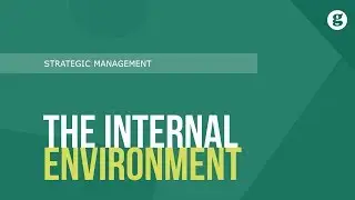 The Internal Environment