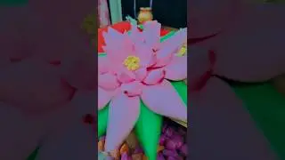 diy🌷 louts #shorts #trending #diy #diyloutsflower #louts #art #papercraft #shortsfeed