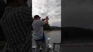 Ловля форели с помощью Tiny Sakamata Shad &mdash; полное руководство, настройка оснастки и живое наблюд...