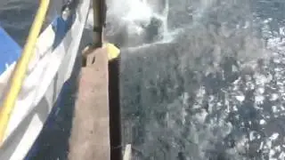 Sam's giant slide