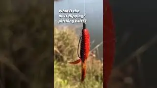 Best Flipping And Pitching Lure - Berkley Pit Boss