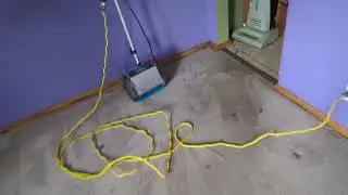 Dog odor treatment in an empty house