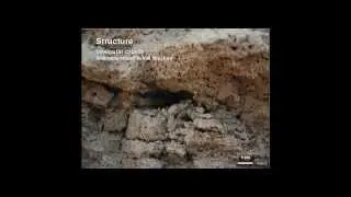 Webinar: The basics of designing for desert and arid soils