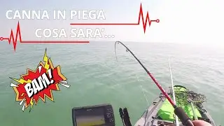 Eging dal kayak con tante catture #fishing #eging #fishingvideo #fish #kayak #pescare #seppia #video