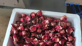 C-T1 Double Twist Wrapping Machine For Chocolate, Gummy, Candy, Confectionery