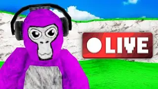 🔴Gorilla Tag Live With Viewers! 🔴 LIVE!