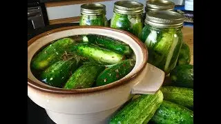 How To Make Fermented Probiotic Pickles