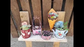 5 Idéias de Latas Recicladas para Plantar Suculentas e Decorar o seu Jardim - DIY - Do lixo ao luxo