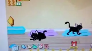 Happy Pets movie on facebook