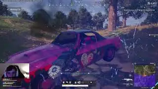 Squad chicken Lucky escape!