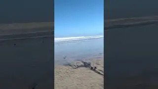 Rosarito 🌹 Beach CLOSED BEACH Destroyed Rosarito Beach Mexico CLOSED