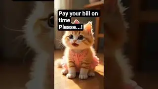 cute cat complaint #shorts