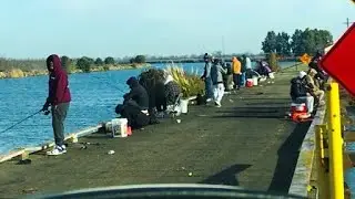 Fishing at the Delta at Paradise Point