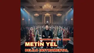 Delilo INSTRUMENTAL (Turkish, kurdish dance halay show)