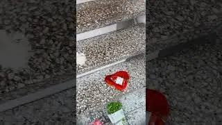 Ootko kerennyt maistaa uutta Vihispitsaa? 😏💚
