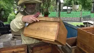 Beutenpflege Gedankenspaziergang