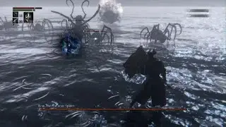 Hunter VS Rom, the Vacuous Spider