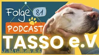 TASSO e.V. im Einsatz f&uuml;r entlaufene Haustiere - Verloren und Gefunden I #81