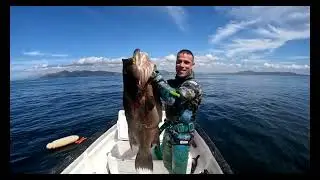 PANAMA 2023 SPEARFISHING ADVENTURE