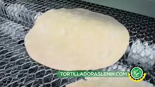 PRUEBA ESPECIAL MLTC 40 PARA ROTI Y BASE PARA PIZZA │Manufacturas Lenin