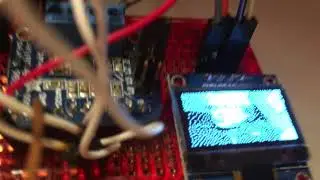 Raspberry Pi live video on OLED display