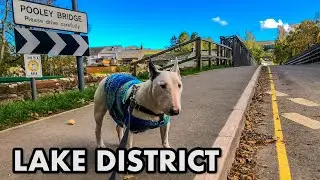 ROCKY'S BIG BRITISH ROAD TRIP: STEAMBOAT RIDE IN THE LAKE DISTRICT!