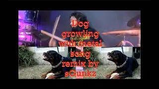 dog growling with metal song remix by sGunkz