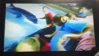 PTV Park Program Break (1997 WNED) Incomplete