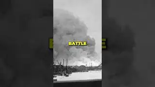 Interesting facts from world war 2, part 13. #shorts
