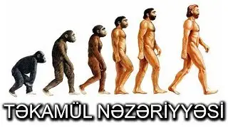 Təkamül nəzəriyyəsi (Darvinizm) nədir ? / qısa məlumat