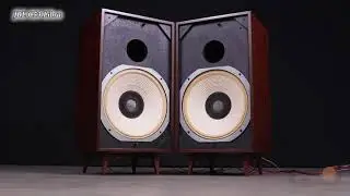JBL C53 Libra
