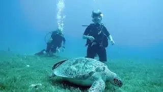 2019 Diving BVI