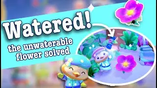 How to Water the Unwaterable Flower Hello Kitty Island Adventure Tropical Lamb Plush Crafting Plans