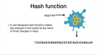 Password Hashing & Security