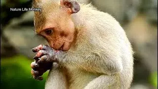 Poor Janet very sad her mom Jane left her alone,Janet so much worry her hands is not better yet#298