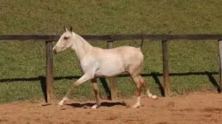 LOTE 4B MINORCO II INTERAGRO