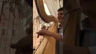 Harp conversations at a Wedding Fair.