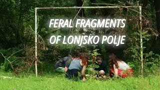 Feral Fragments of Lonjsko Polje