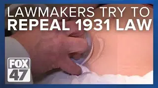 Democrats introduce bills to repeal Michigan's 1931 abortion ban