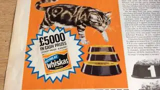 Vintage ephemera advert 1966 whiskas cat food jellymeat