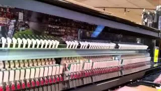 In a piano store: Elijah checks out a see-through piano
