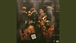 Like Me (Remix)