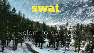 Swat (kalam forest )( travel to kalam Jungle side ) awesome weather