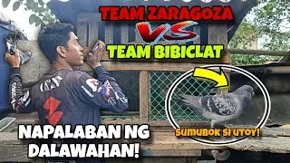 ZARAGOZA VS BIBICLAT | DALAWAHAN ANG LABAN, INTENSE ANG ABANGAN! | KARERA NG KALAPATI