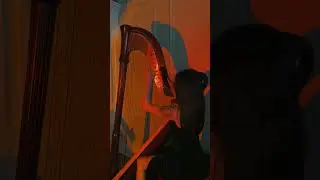 Golden Hour by Jvke on harp by Skylar Cibirka #harp #harpist #goldenhour #jvke #music #musician