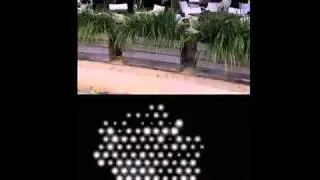 Bionic eye